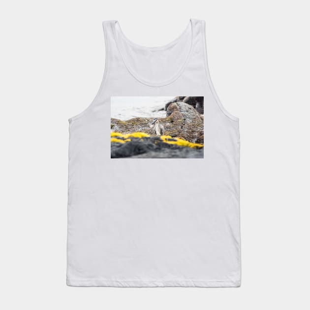 Black-crowned night heron in ocean Tank Top by KensLensDesigns